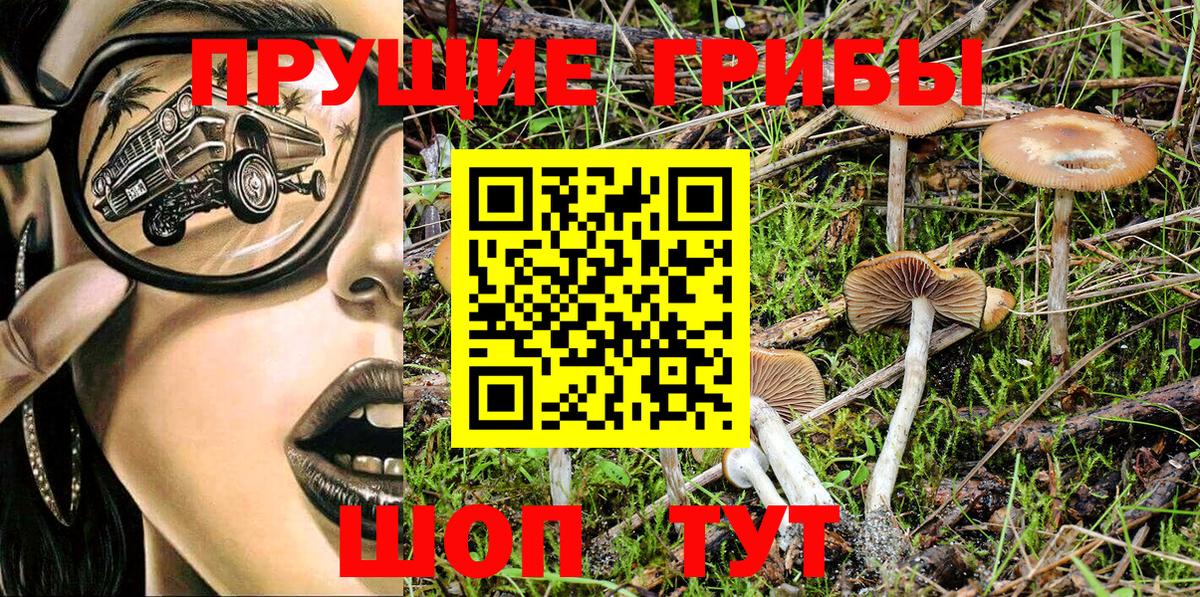 Псилоцибиновые грибы прущие грибы  закладка  Пенза 